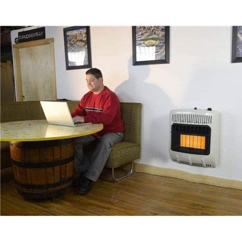18000 BTU Vent Free Radiant 20# Propane Indoor Outdoor Space Heater