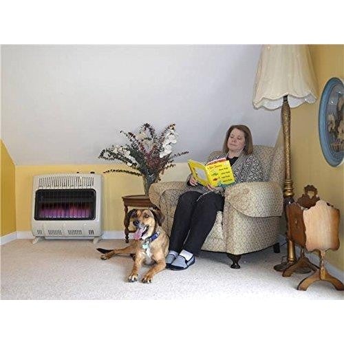 Mr. Heater 30,000 BTU Vent Free Blue Flame Natural  Heater MHVFB30NGT