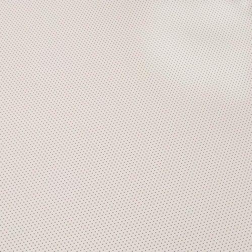 Carl’s (16:9 | 86×153-in | 176-in Diag. | Rolled) Nano Acoustic FlexiWhite Projector Screen Material, Acoustically Transparent, Sound Transparent, Audio Transparent